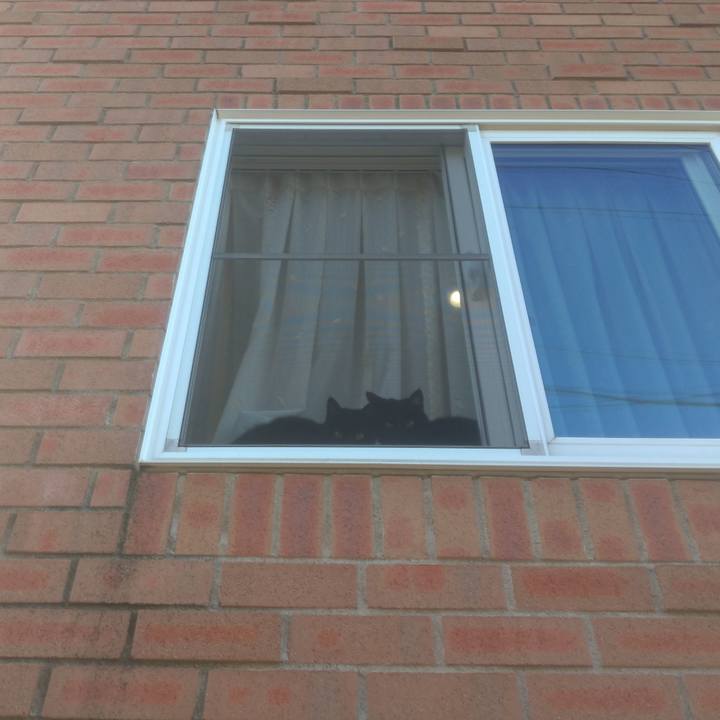 F6f8ba1b 31de 4fb3 a88a 1bcbcf253262 1604964140235