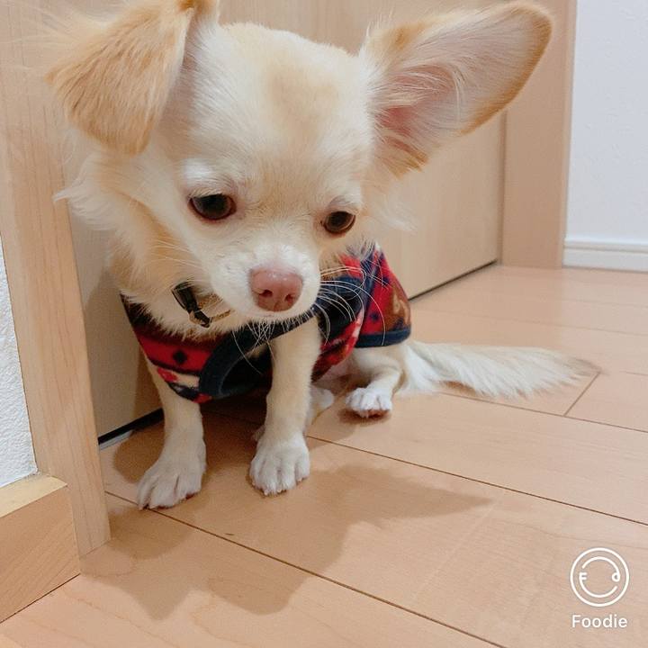 F6f8c188 80ab 4a9a 9326 ab2c4a081eee 1604232310804