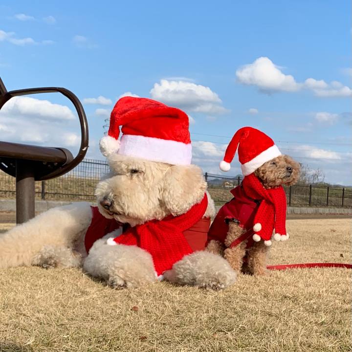 F6f8d46d 3101 467b 8012 b460e2871b66 1766542789366