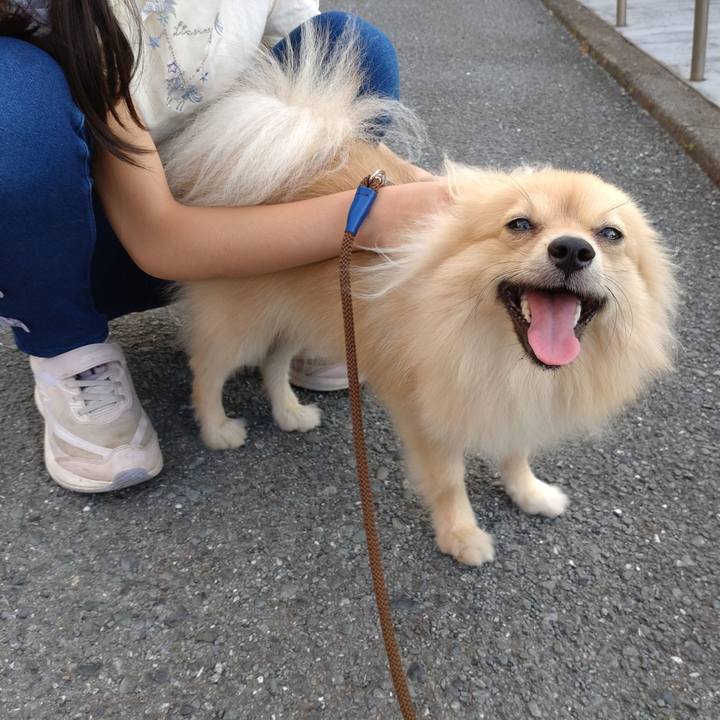 F6f8da13 293b 4761 ad4d bf7fdebf4cb4 1755383232728