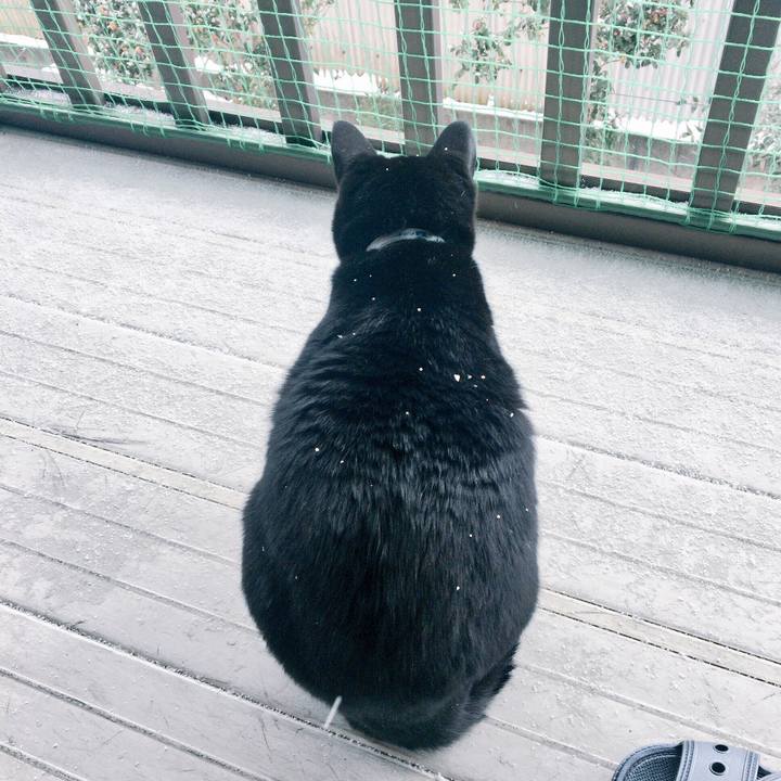 F6f91b5e 45f3 4c3e bb15 933c7e08b6d1 1516928204354