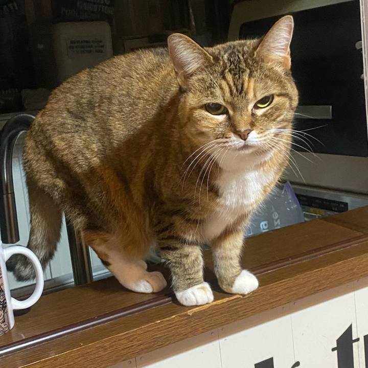 F6f933b8 e51b 44c6 8d53 628959e98d32 1735743304283