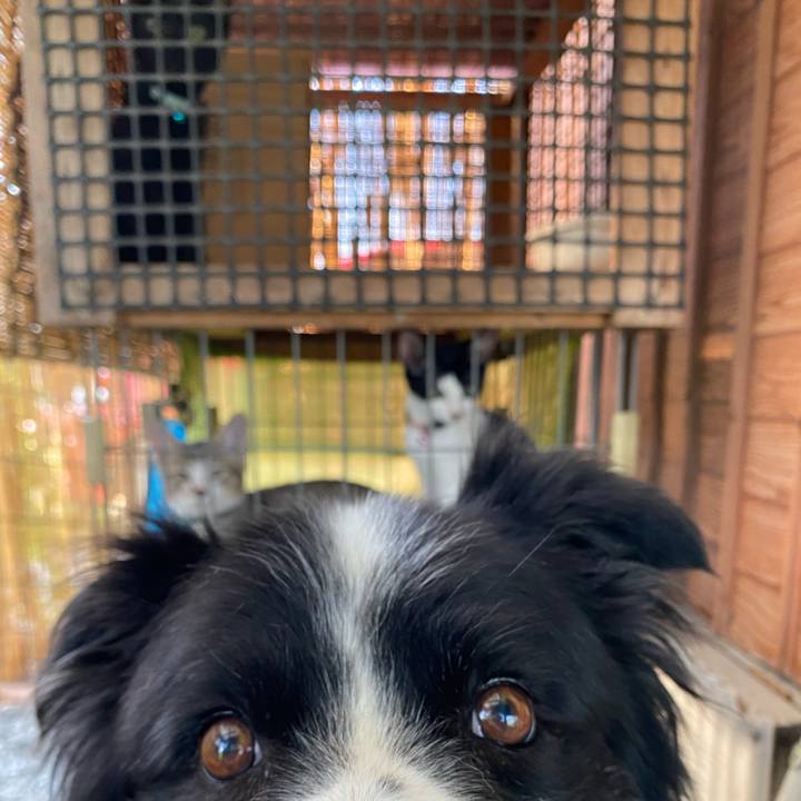 F6f93aa9 9278 46cd b723 3f7d9bb9504b 1627603419589