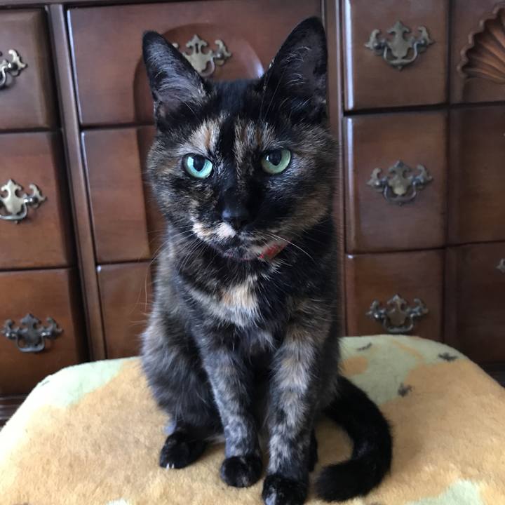 F6f996dd ad94 4762 985b 0ed88d9b4b7f 1556605572081