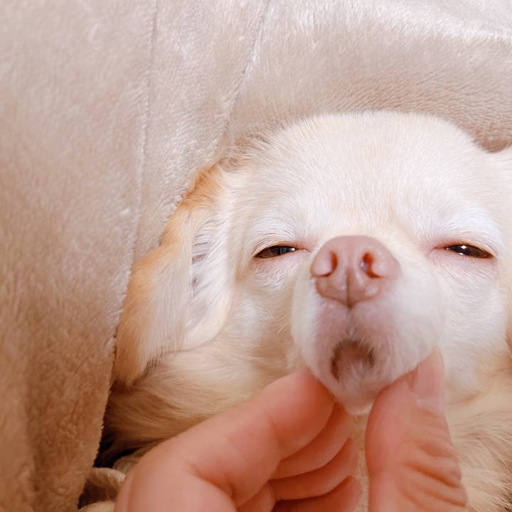 F6f9fc47 e2ea 4958 a036 44cf52e53ae0 1666866582224