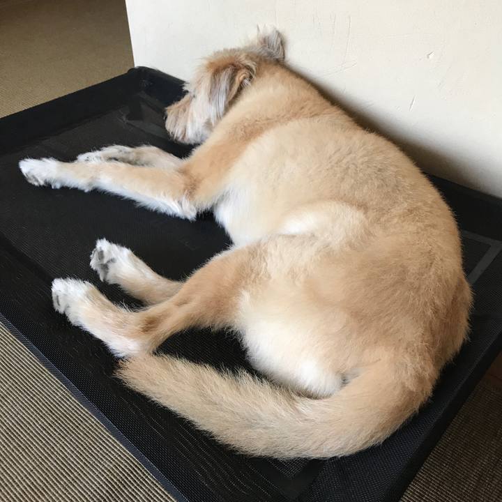 F6fa1b0c 9dbf 40ff bf3e 897e2e11e62b 1598250486306