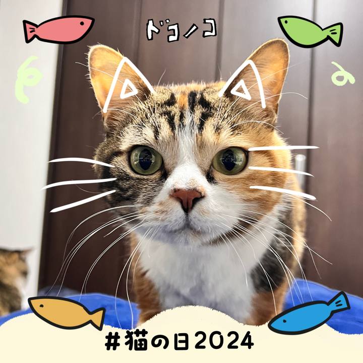 F6fa21b0 e00a 42db 989d 1fcd6894b968 1708576568766
