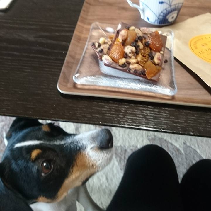 F6fa274b d1f9 4175 a2b7 3c00fdc25831 1557105997613