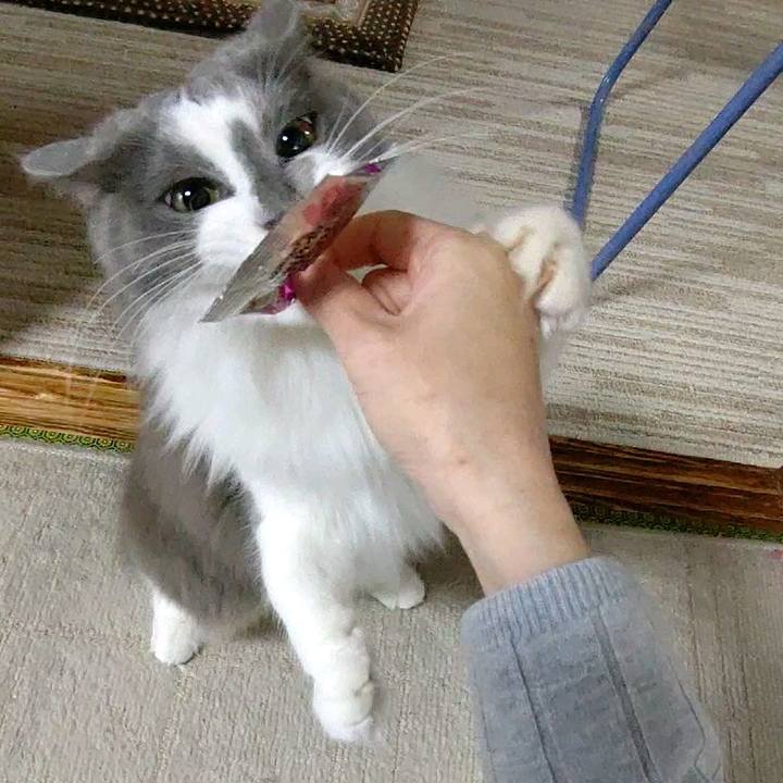 F6fa362a a4b9 42fe ae6a d9f7150468b2 1581840186953