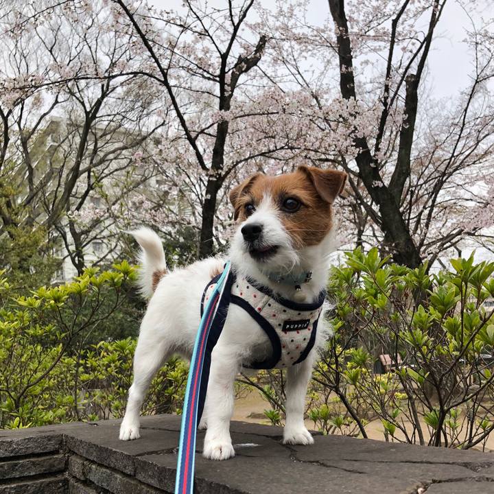 F6fa6f89 df47 4378 8f89 71a7e5c82b17 1571725398838