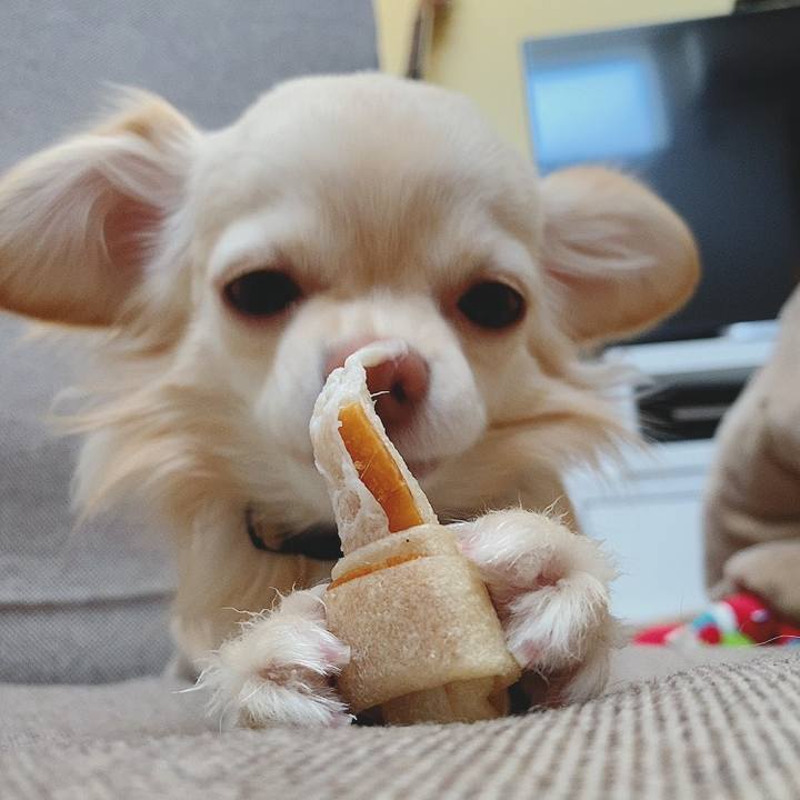 F6fa8739 3e90 4efb 9b23 9c00f4f8299c 1617781296851