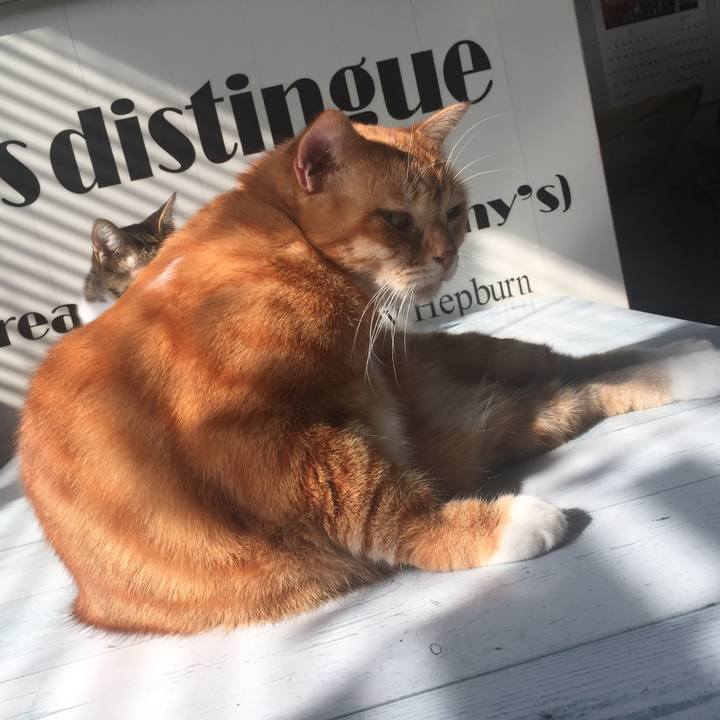 F6fac66e bd33 49d5 b32b 612720d78eab 1572560509385