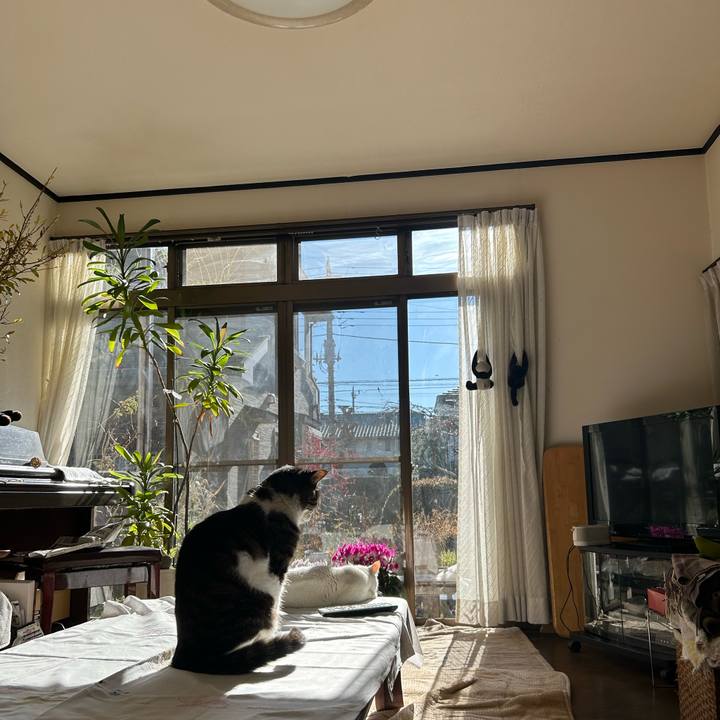 F6fb6fc0 a9b3 4825 8531 4a2d9f8ee50b 1735801390283