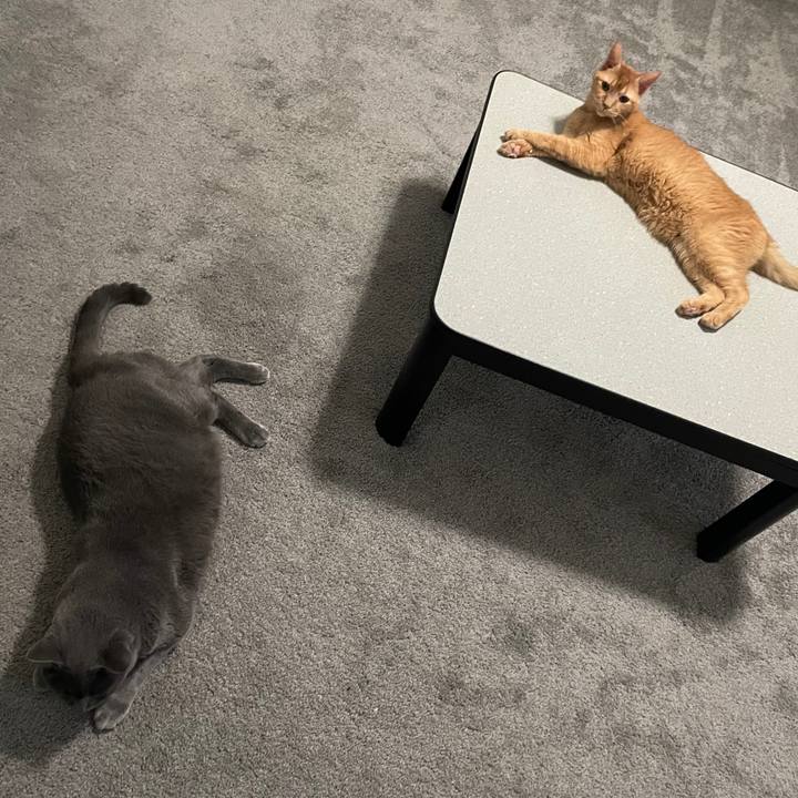 F6fb996f 26f0 4638 9847 ceebcd2a8cb7 1702858854090