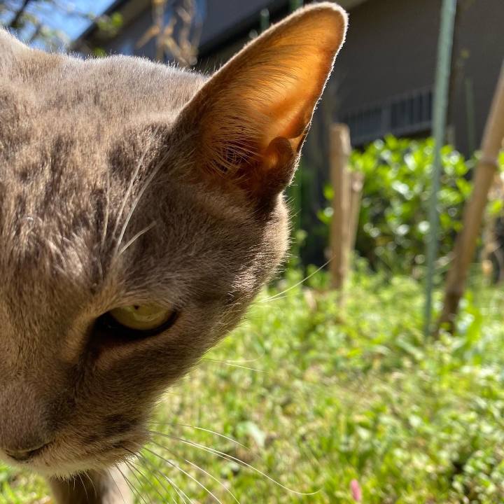 F6fbd585 9ca0 4196 b57d 50377aa6a50a 1649602606982