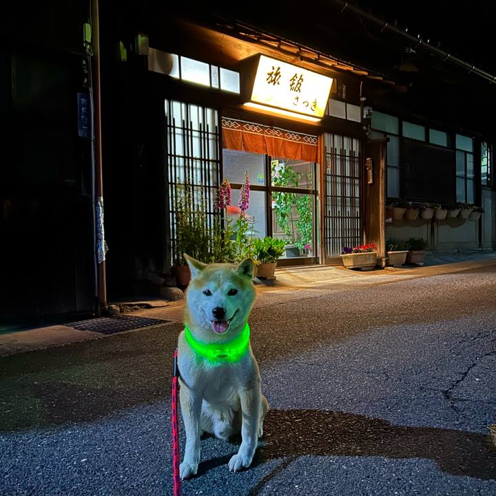 F6fbe4bc 9630 4a3a 9be4 0ae8aad665f6 1747567419727