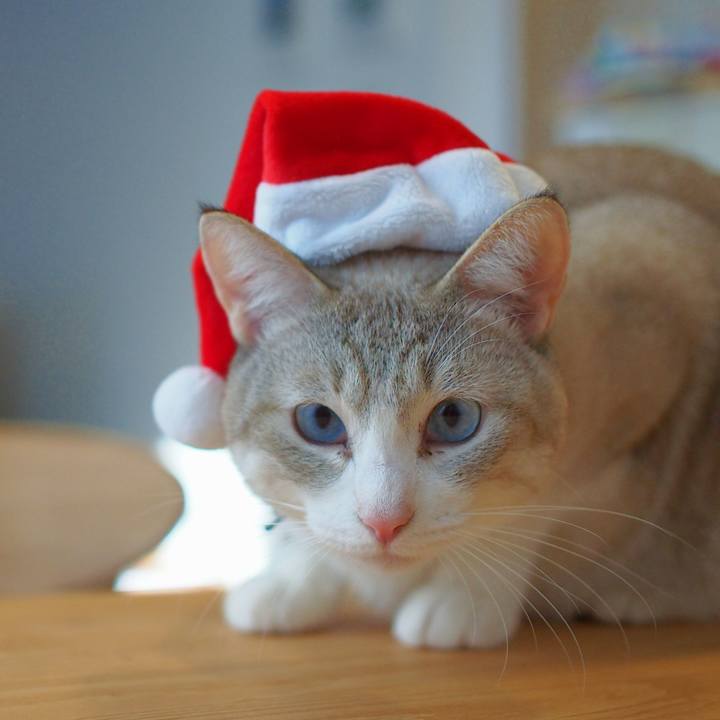 F6fbedc0 aacb 41be 9246 37441a0f1396 1545612367093