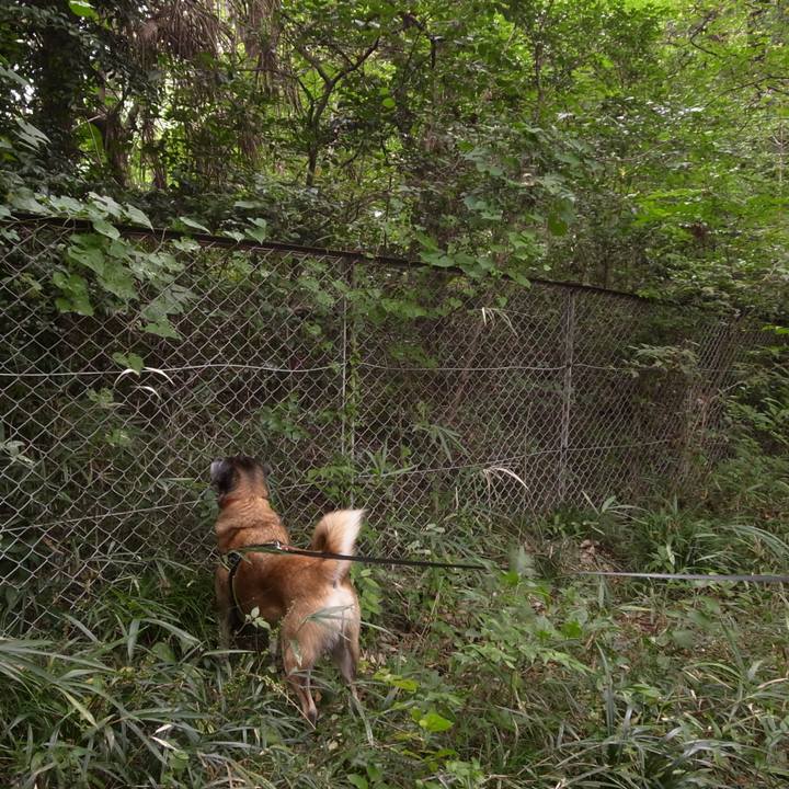 F6fc04c2 79e3 4dd0 aab9 5e25b67d32a5 1591437962797