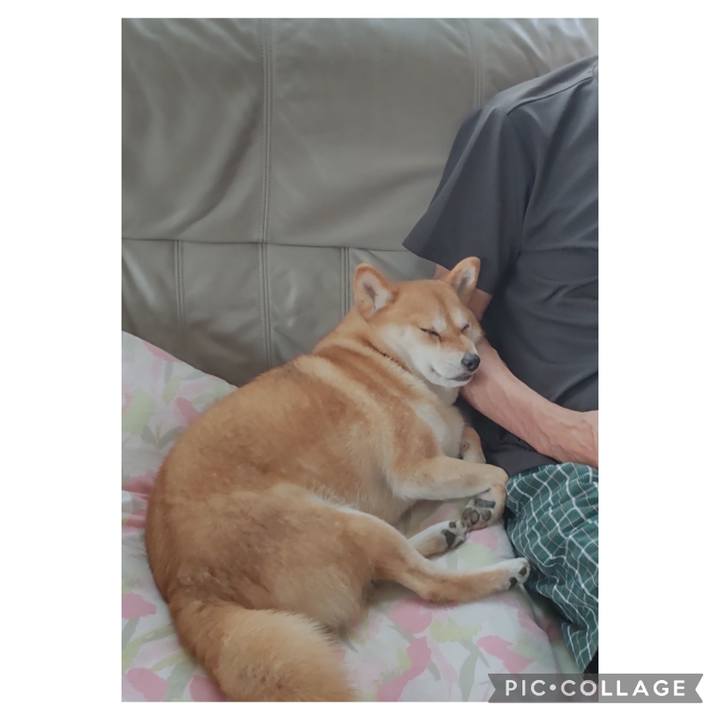 F6fc0855 d54d 4a89 bfcb ac51d50c5895 1719017359983