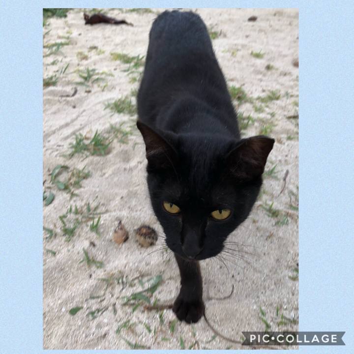 F6fc292f 8bb2 4b39 8c50 d8097491df07 1543915452458