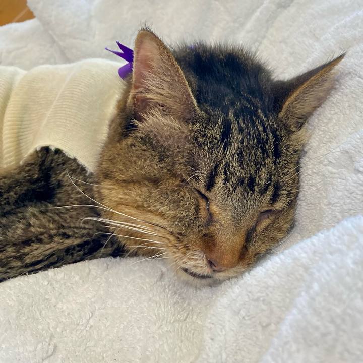 F6fc3407 b3e9 46e0 aa2a 9ec0271bb016 1688727531204