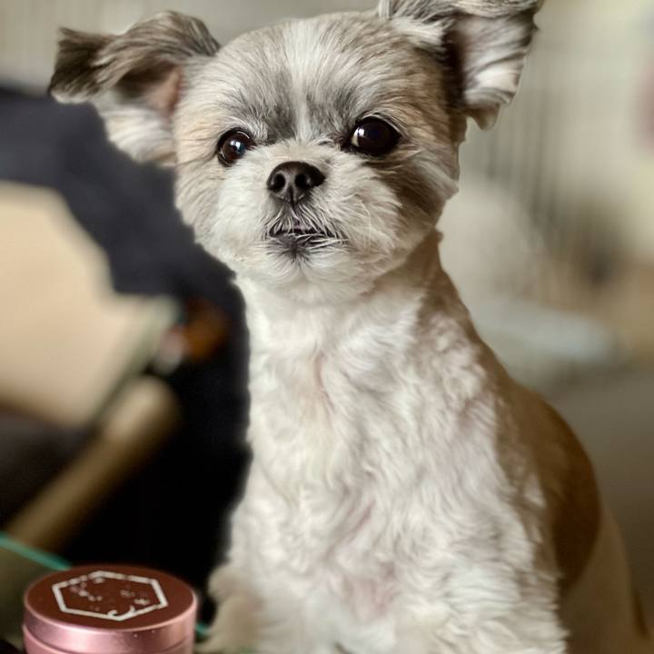 F6fc53cc 8175 4973 842a e16c0bfcf8a6 1709697684425