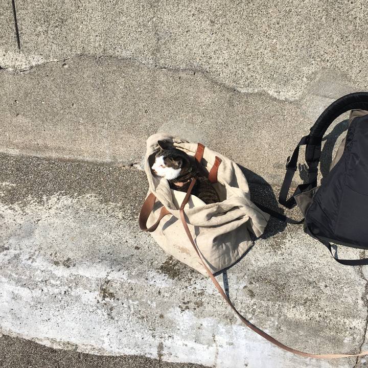 F6fc761b 671b 4936 b49f c728a7da2ae8 1519450605220