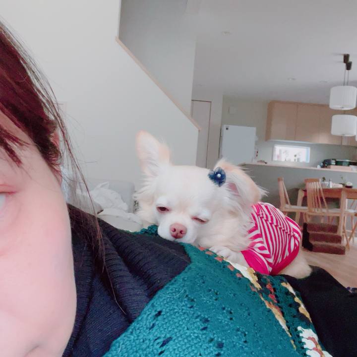 F6fc8302 8814 44c3 992f 44673736dcaa 1702882661347