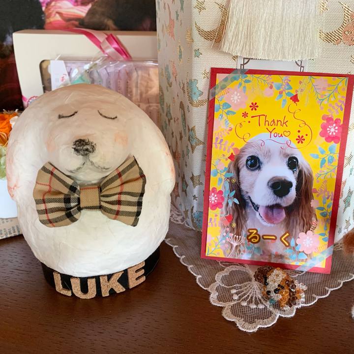 F6fc84ea a5f5 4828 ba39 02a4be828340 1625283801394