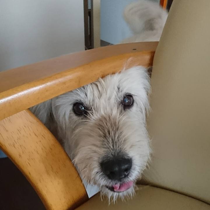 F6fc86b0 3da1 4931 83cb 57e4b56b3829 1566689657847