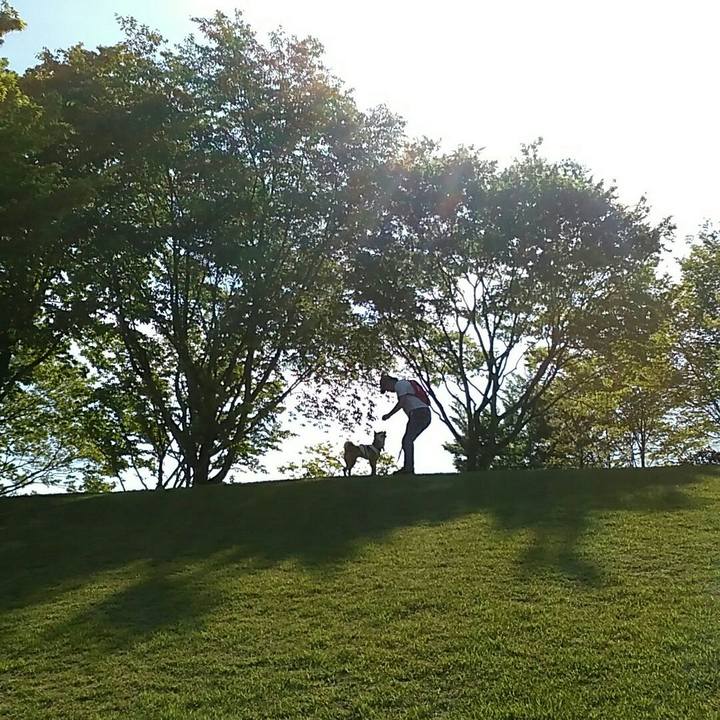 F6fc907b 3f03 4691 9806 dd65f0294c73 1556960229017