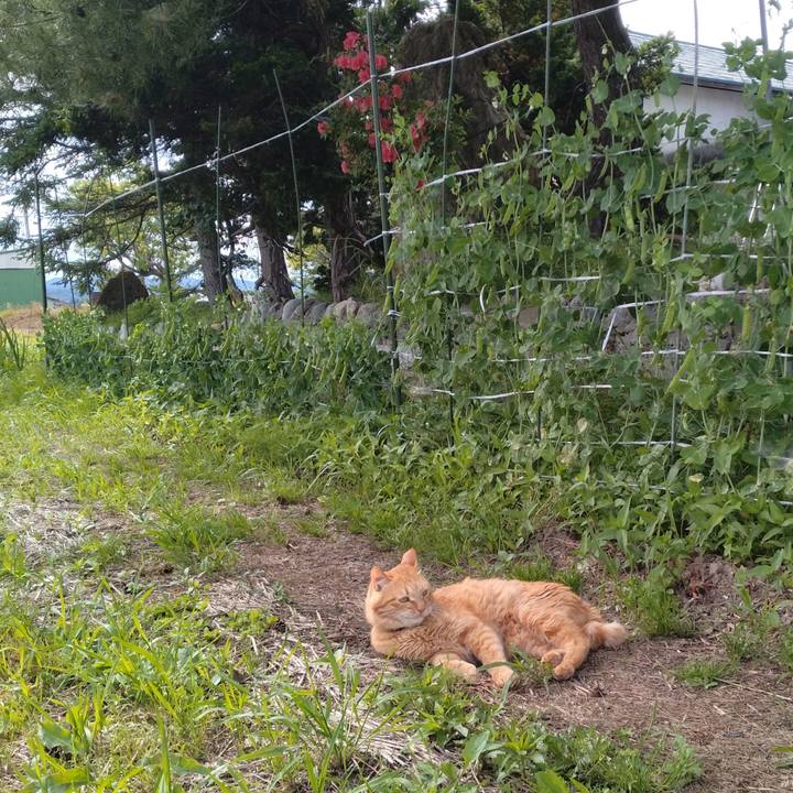 F6fc9785 5603 41e7 b1df 10e679d9844f 1717490298229