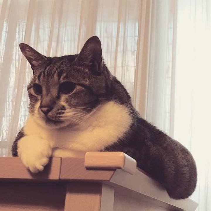 F6fc9d6a 2835 49ad 8648 b2ddc1bea009 1690596156885