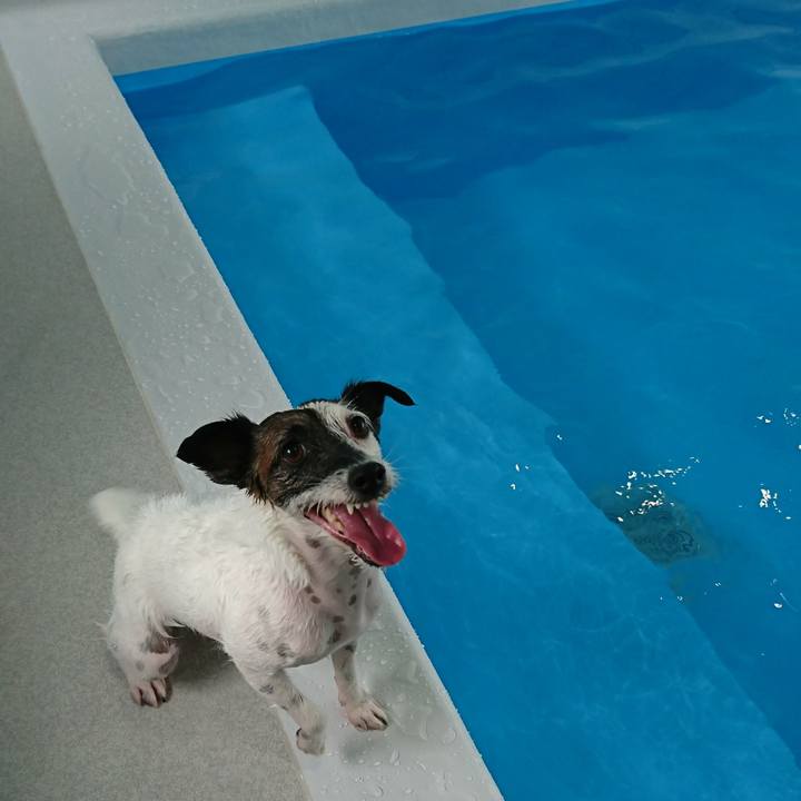 F6fca5fd b810 4a67 853d 730f6655fdb3 1561608339601