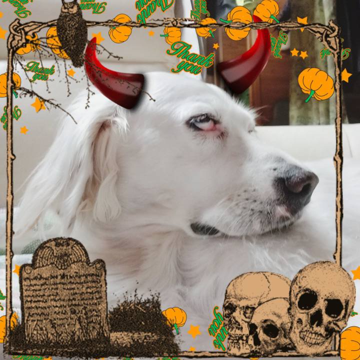 F6fca885 2db0 491d a2eb 920447ad7c61 1604058022233