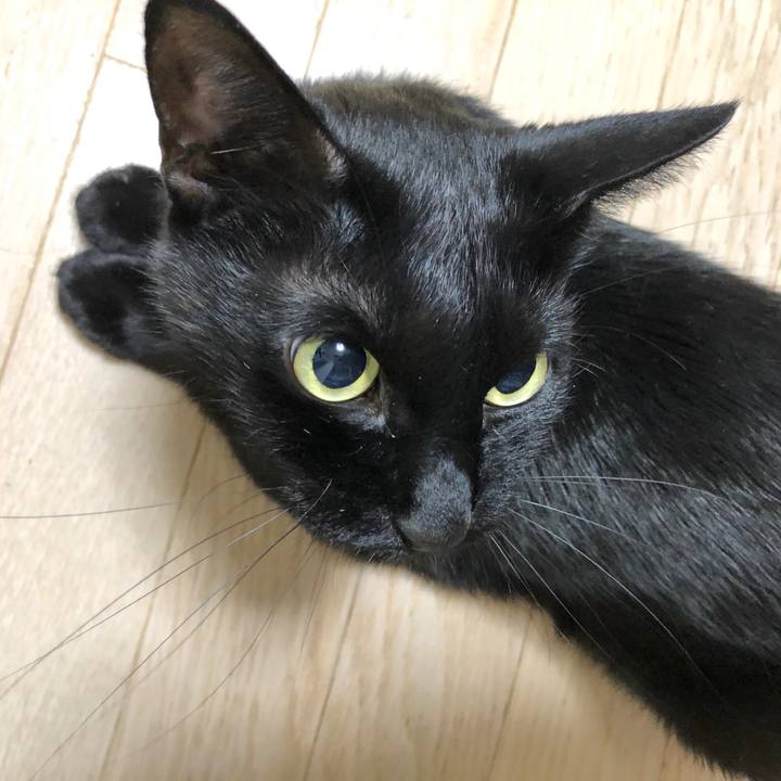 F6fccd59 e5f7 4a4c 8648 2d38f8576ebf 1600527004632