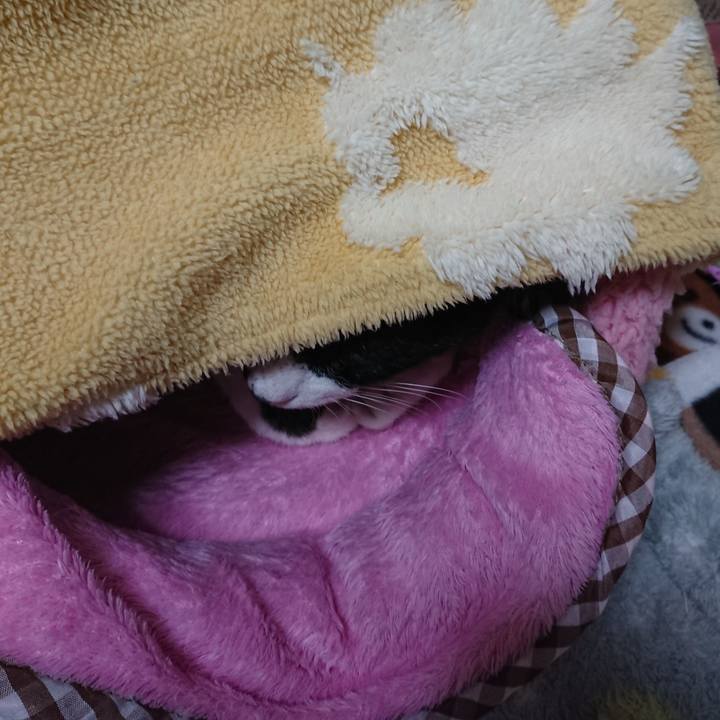 F6fceea5 c329 4795 833d 5ad5281bcbb9 1573534684330