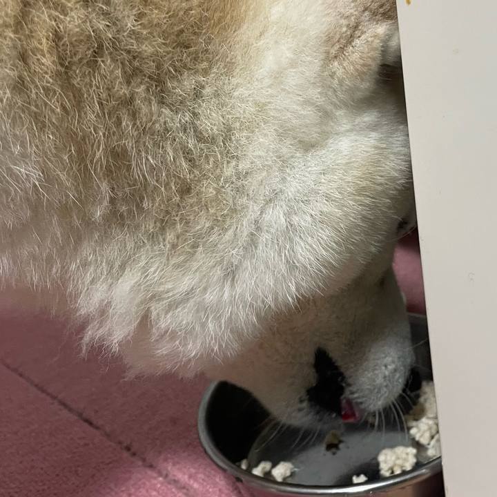 F6fcf231 5a7b 45cd a60e c367818b614b 1706012217466