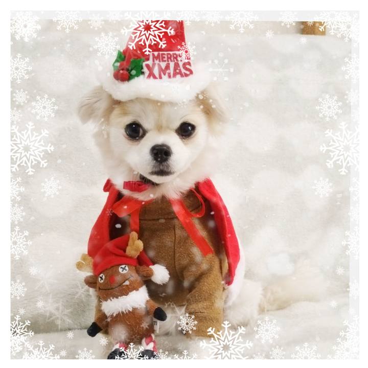 F6fcf747 1481 4c4a b476 f3511343b0f9 1703390979170