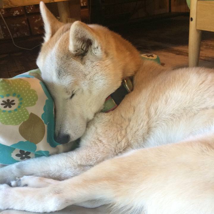 F6fd5121 c9ee 4773 a8c8 409d580a3e88 1561364569536