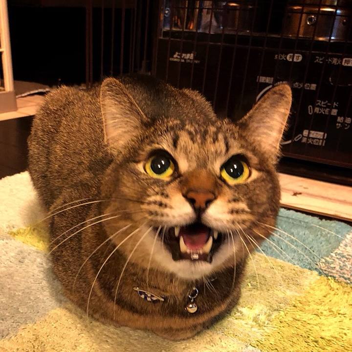 F6fd6ee1 3fdd 471f 976d 045feef4f24f 1515993062388