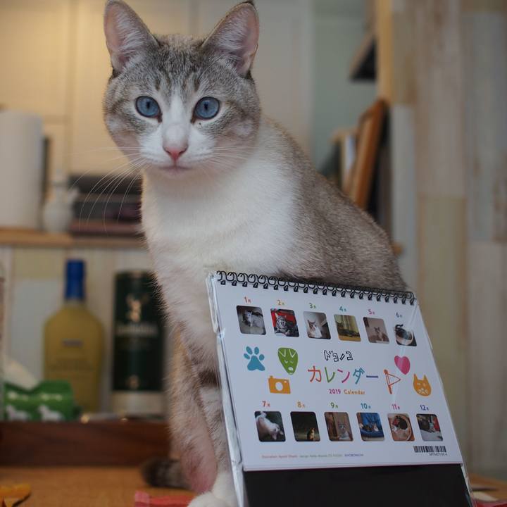 F6fd8559 fa7a 47ad 8cca c0ac28ef055e 1546226064286