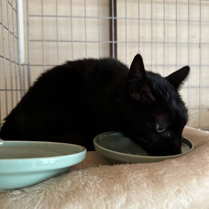 F6fd9307 aa1f 4528 8cc5 f94d03c2d564 1706493622010