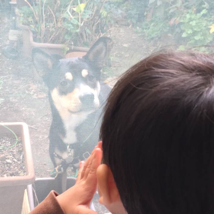 F6fd9c22 7f75 4938 bb90 c78a37e6e717 1514811454315