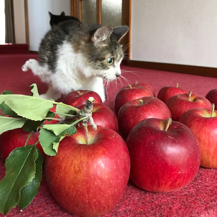 F6fdad74 315c 4316 b459 cf3d1cfdc92f 1667253705855