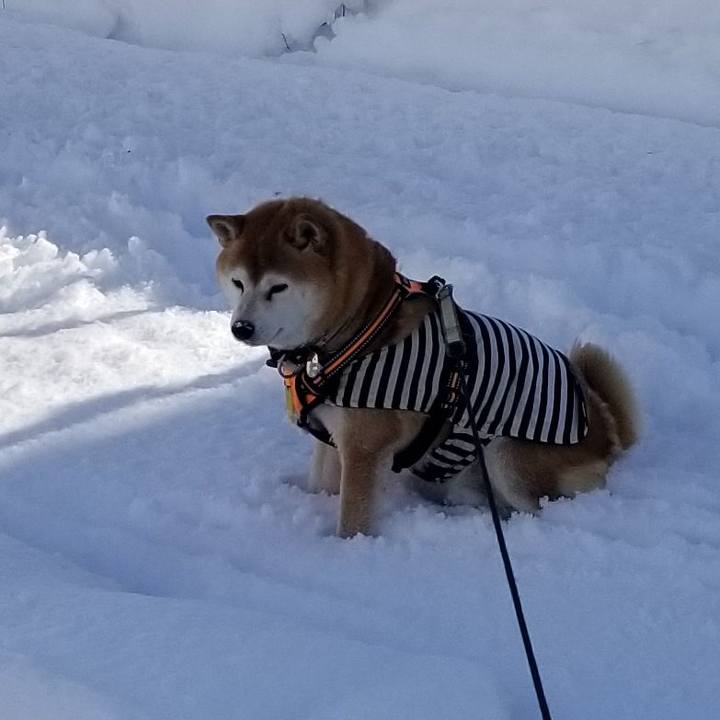 F6fdb3c0 12f3 4277 aad7 cdb3c703cf35 1643431734778