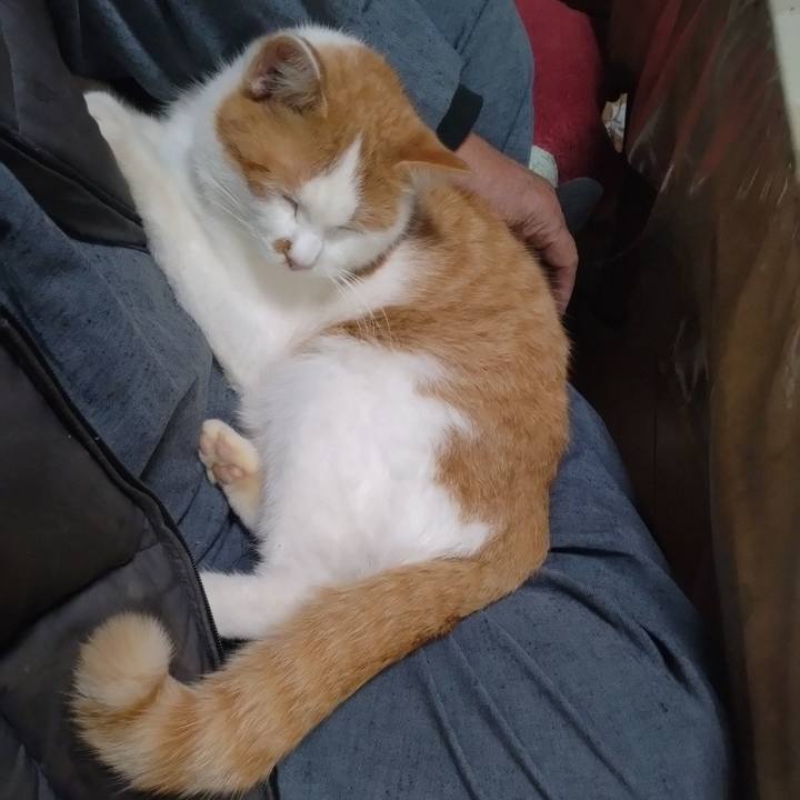 F6fdc346 290b 4f30 92ec 7d4019d69b31 1767611396404