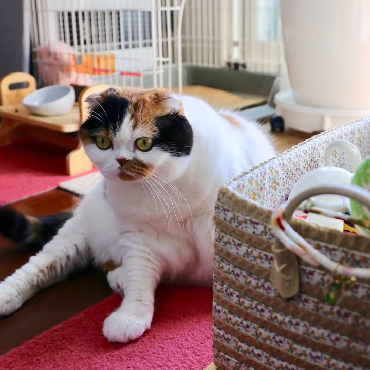 F6fdfc14 8281 4597 a3f4 4cc88d6db9ca 1562762742947