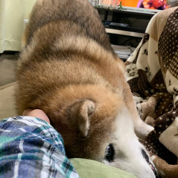 F6fe7459 694e 4055 899d 11035b600833 1582891502779