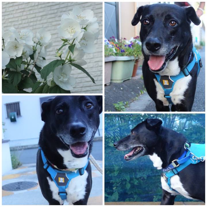 F6fe8a2f 1690 466b b89c 009f62d53ac3 1684927417219